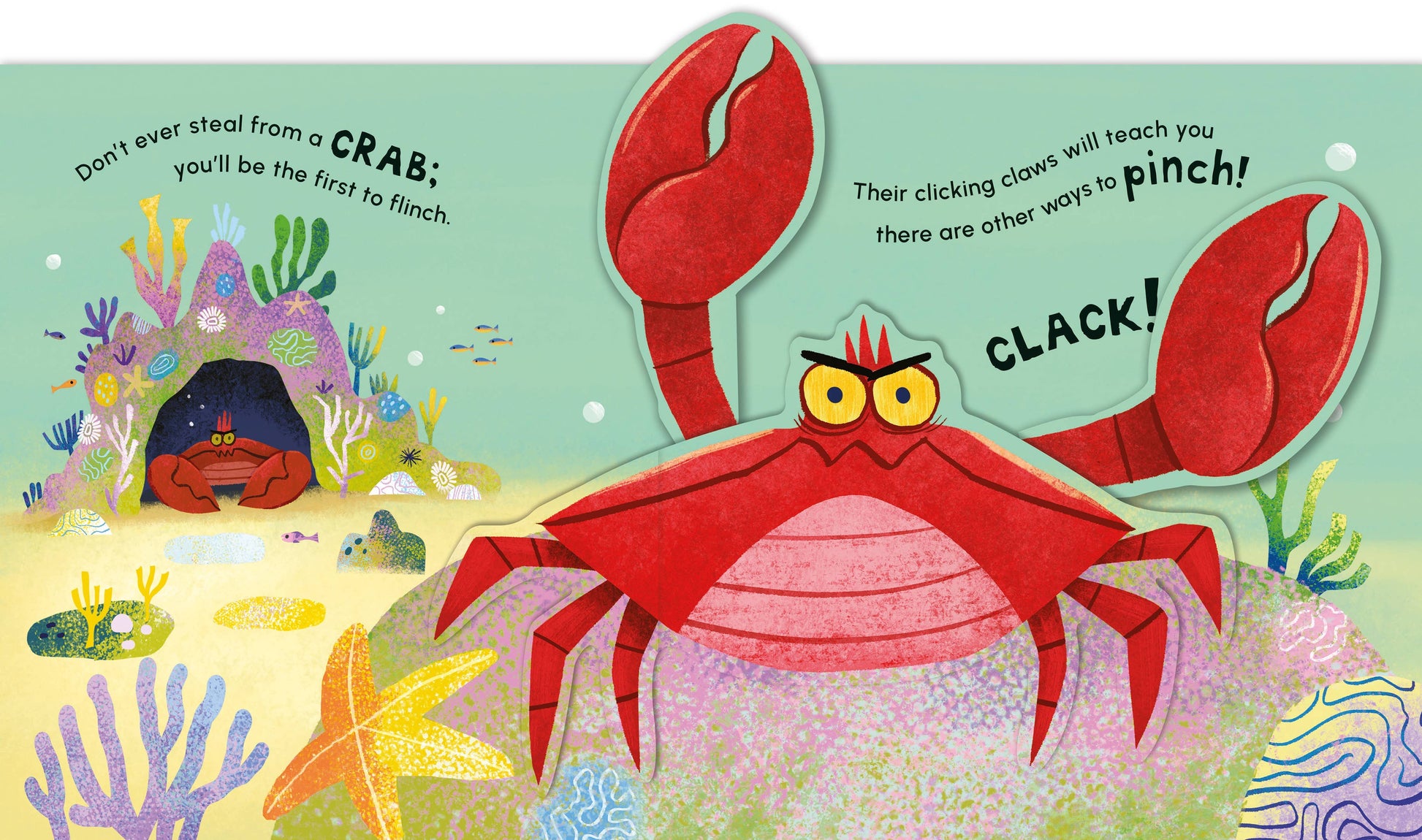 Don't Ever Smile at a Shark: A Fin-Tastic Pop-Up Book Hachette Book Group