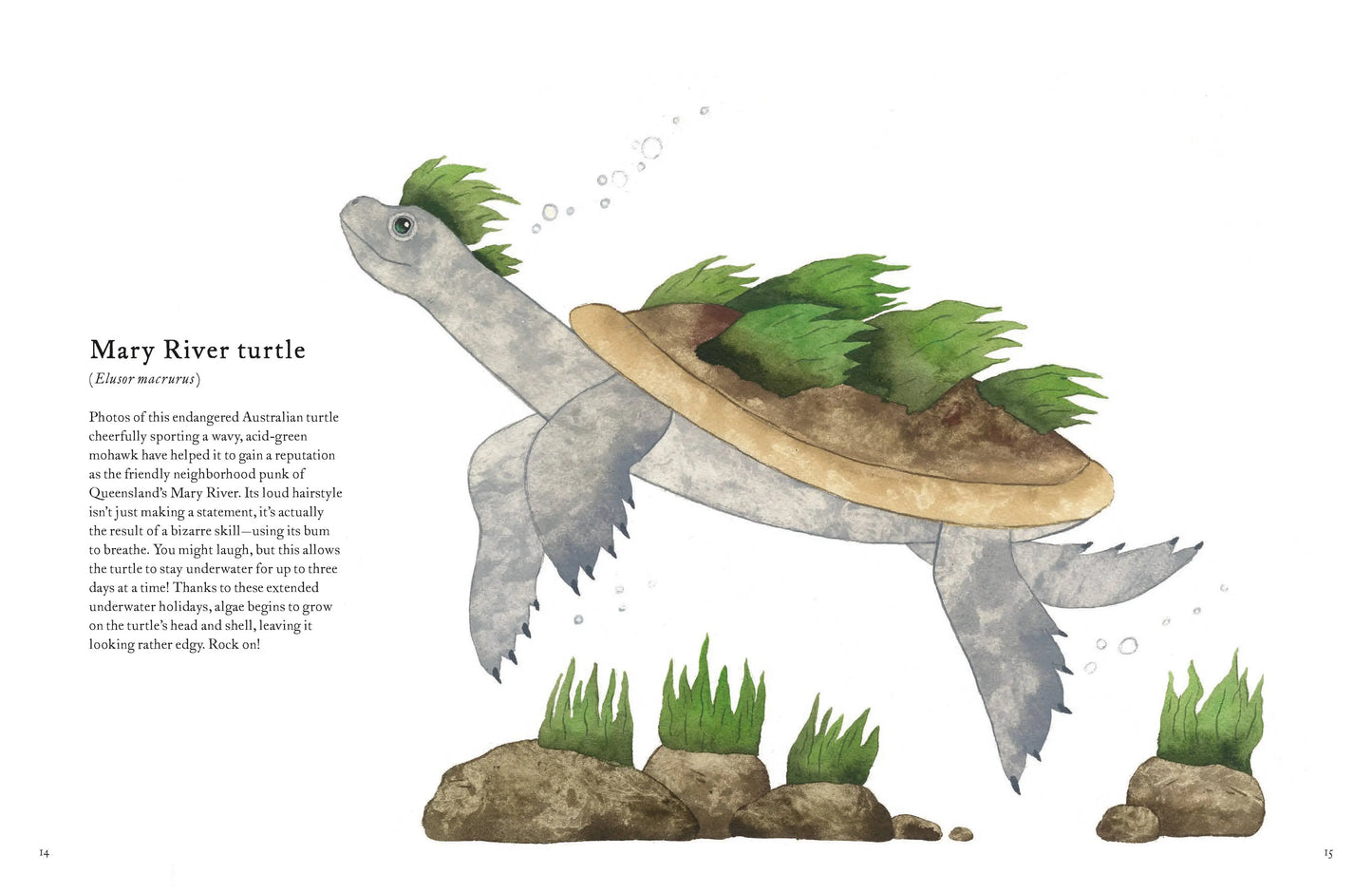 Colorful World of Reptiles Chronicle Books