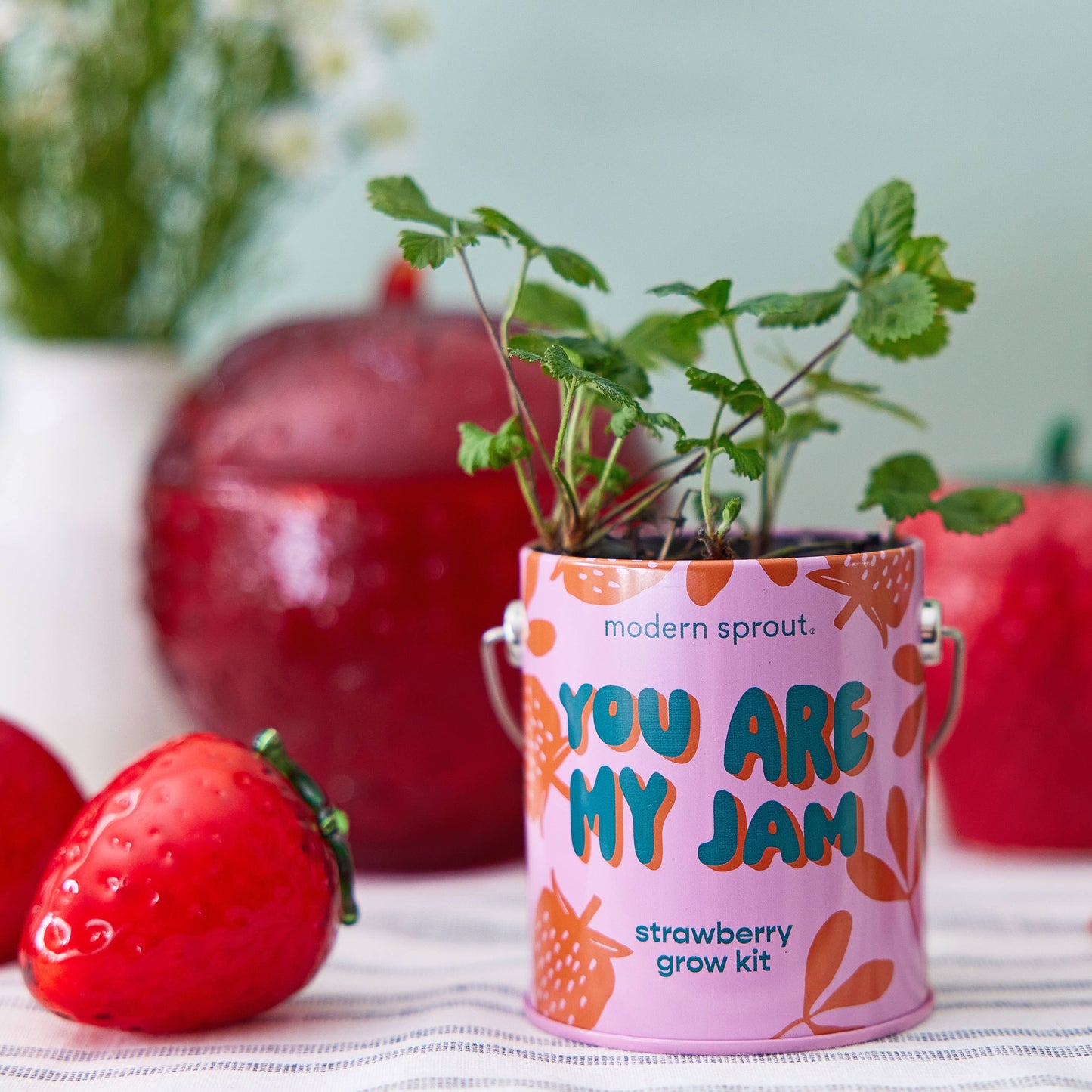 Complimentary Color Grow Kits Modern Sprout