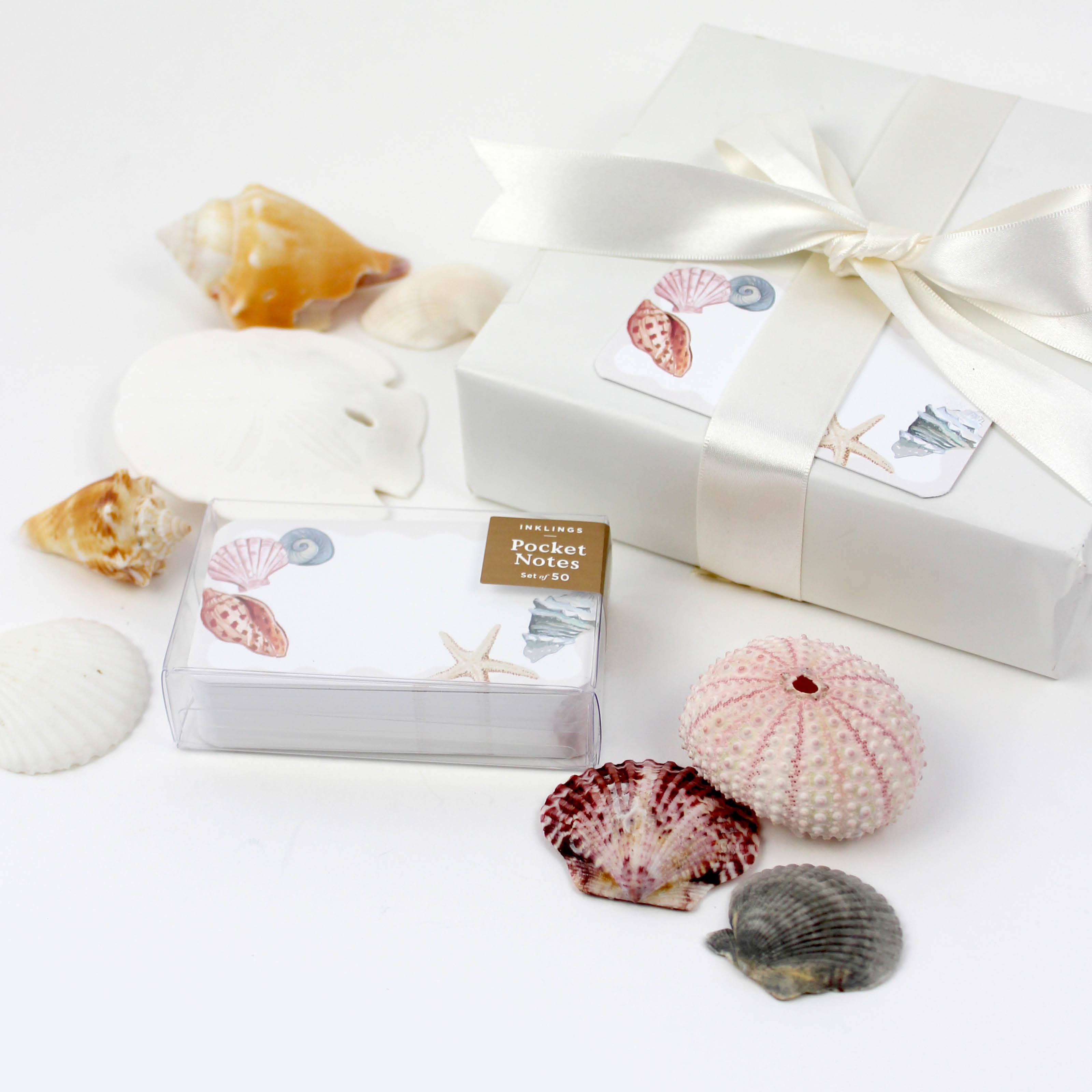 Seashells Pocket Notes